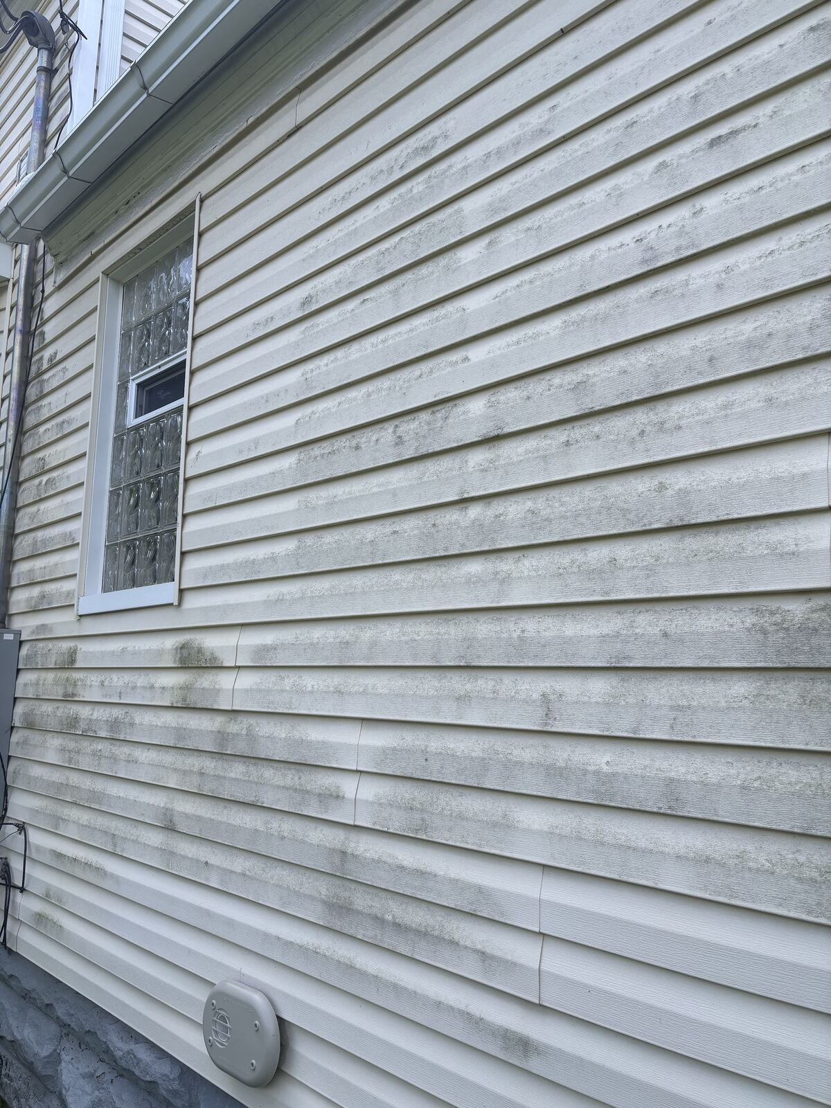 Siding covered in algae and mildew before a soft wash